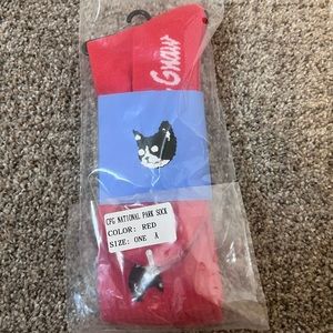 Camp Flog Gnaw Socks